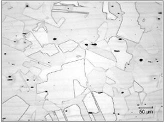 Microstructure - MONEL 400 sheet