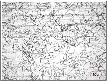 Microstructure - Mill Annealed B-3 Sheet
