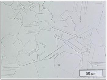 Microstructure - ULTIMET wrought plate